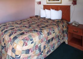Rodeway Inn Leesburg Chain of Lakes 4
