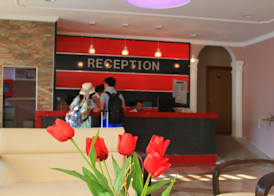 Rosy Hotel 2