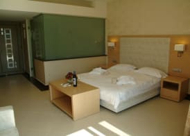 Ionian Emerald Resort 3