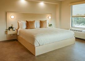 Brut Hotel 5