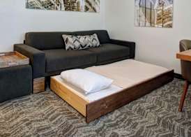 SpringHill Suites by Marriott Saginaw 4