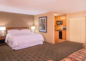 Sheraton Springfield Monarch Place Hotel 5