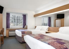 Microtel Inn & Suites by Wyndham Mankato 4