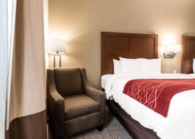 Comfort Inn & Suites Streetsboro - Kent 5