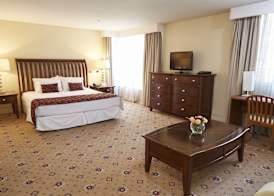 Hotel Torremayor Lyon 5