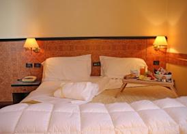Park Hotel Villa Leon d'Oro 4