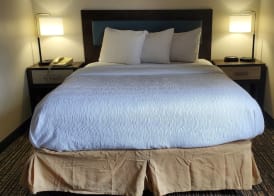 Wingate by Wyndham Canton/Hall of Fame 3