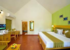 Hotel Treetop 2