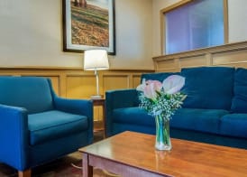 Comfort Inn & Suites Raphine - Lexington near I-81 and I-64 3