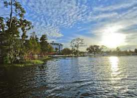 Hilton Vacation Club Grand Beach Orlando 4