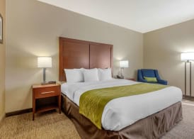 Comfort Inn Lenoir City-Knoxville 5