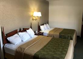 Posh Inn & Suites 3