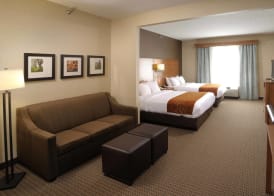 Comfort Suites Hotel and Conference Center 5