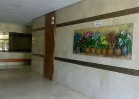 Estudio Ally 2