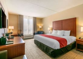 Comfort Inn & Suites Nashville Franklin Cool Springs 4