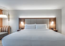 Holiday Inn Express & Suites DALLAS NORTH - ADDISON by IHG 2