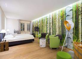 Hotel Schindlerhof 5