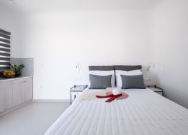 Santoterra Antigua Suites 5