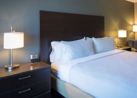 Holiday Inn ST. PAUL DOWNTOWN by IHG 3