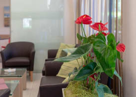 Hotel Adigrat 5