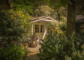 Ward Avenue B&B 2