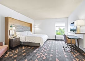 Holiday Inn ST. PETERSBURG WEST by IHG 4