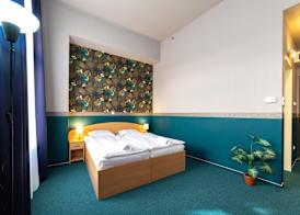 Gartner Hotel 4