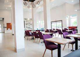 Hilton Garden Inn Tampa Suncoast Parkway 4