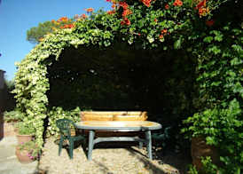 B&B Il Poggetto 4