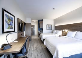 Holiday Inn Express & Suites AIRPORT-CALGARY by IHG 3