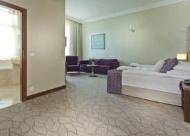 Kosher Hotel King David Prague 5