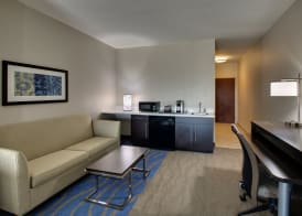 Holiday Inn Express & Suites LANCASTER EAST - STRASBURG by IHG 5