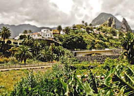 Finca Piñero 4