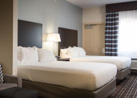 Holiday Inn Express LE CLAIRE RIVERFRONT-DAVENPORT by IHG 5
