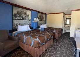 Super 8 by Wyndham San Marcos 3