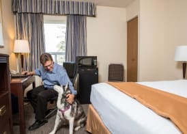 Travelodge by Wyndham Edmonton South 4