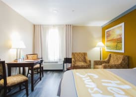 Days Inn by Wyndham Rosenberg 4