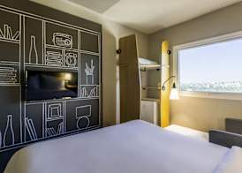 Ibis Americana 5