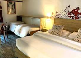 Villa ai Tigli Venice Airport Rooms Keyless&Self Check in 3