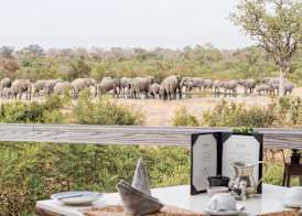 Simbambili Game Lodge 4