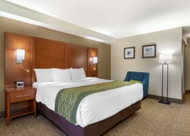 Comfort Inn & Suites - near Robins Air Force Base Main Gate 4