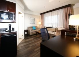 Holiday Inn & Suites WINDSOR (AMBASSADOR BRIDGE) by IHG 5