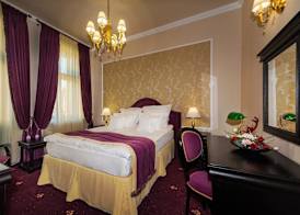 Hotel Central Park Sighisoara 3