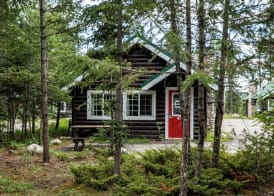 Pine Bungalows 5