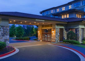 Hilton Garden Inn Atlanta Marietta 5