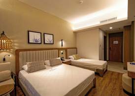 Aletris Deluxe Hotel & SPA 5