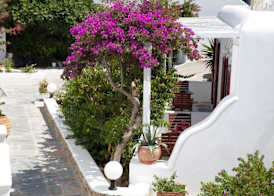 Domna Hotel 4