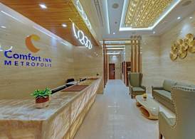 Comfort Inn Metropolis 2