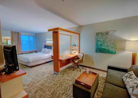 SpringHill Suites by Marriott Macon 4