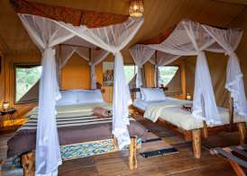 Baobab Tented Camp 5